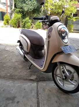 Scoopy fi th 2015