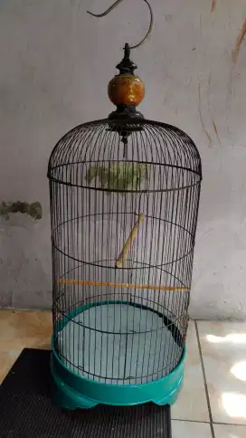 kandang lovebird