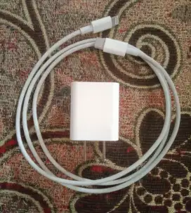 Charger Ori iPhone 20w exJapan