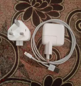 Charger iPad pro USB to lightning