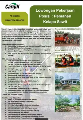 Lowongan kelapa sawit