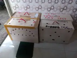 Box untuk kiriman ayam luar kota dll