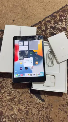 Dijual Ipad Mini 4 Grey 128GB Wifi Only Mulus Lengkap