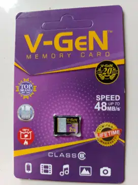 Microsd Micro Sd Vgen V-Gen