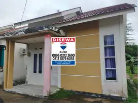 Disewakan Cepat Rumah Jl Perdamaian Pontianak