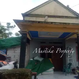 Dijual Tanah Free Rumah