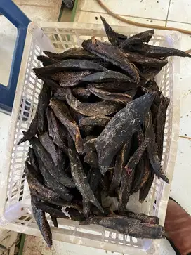 Ikan kayu : Kathsuobushi13031