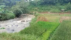 Sawah & Kebun Produktif, 16841 m, Darangdan, PWK.