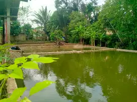 Dijual Tanah Kolam Pemancingan di Bernung Pesawaran Lampung