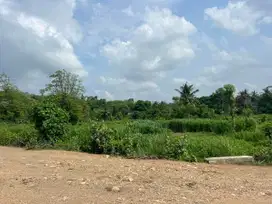 Tanah murah dekat pantai Areguling Kuta Mandalika Lombok.