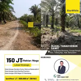 DIJUAL TANAH KEBUN SAWIT