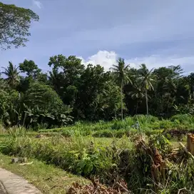 Dijual tanah kavling di sentolo kulon progo