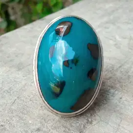 Bacan Doko Totol Big Jenong