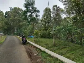 790 MDPL || Tanah Kebun Cengkeh Untuk Vila Rumah.