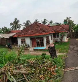 tanah 352 meter bonus rumah di pramuka rajabasa