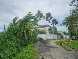 Tanah Kedungu Dekat Pantai