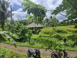 Dijual tanah dengan view sawah di tabanan bali