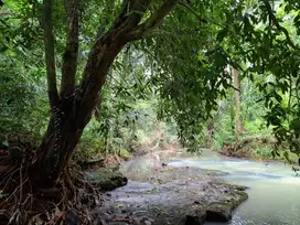 Dijual tanah dengan sungai bebatuan di tabanan bali