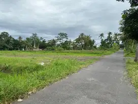 Tanah Murah Jogja Utara, Cocok Bangun Villa