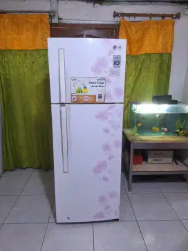 KULKAS LG INVERTER BUNGA ORI