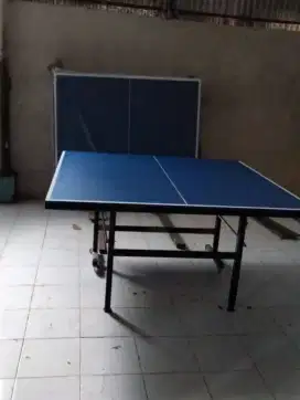 TENIS MEJA PINGPONG