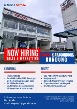 Marketing Mobil Toyota Pria/Wanita Jenjang Karir Jelas