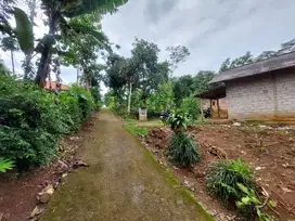 TANAH PEKARANGAN BEKAS KANDANG AYAM  SANGAT MURAH LUAS