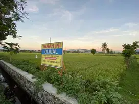 DIJUAL TANAH GERUNG LOMBOK BARAT PINGGIR JALAN