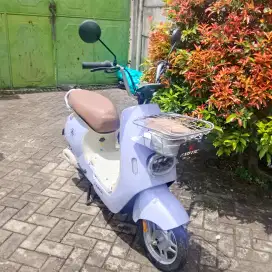 Promo Sepeda Listrik Diskon 700Rb Bisa Cod Bayar Dirumah Gratis Ongkir