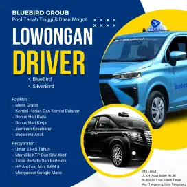 lowongan Supir/driver taksi