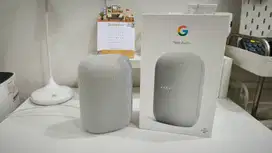 Google Nest Audio