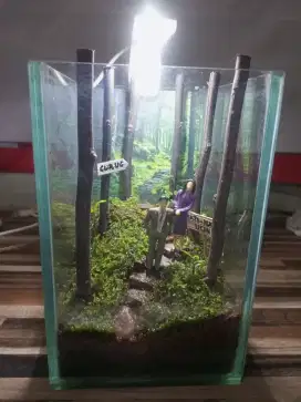 Terarium Paludarium Aquascape