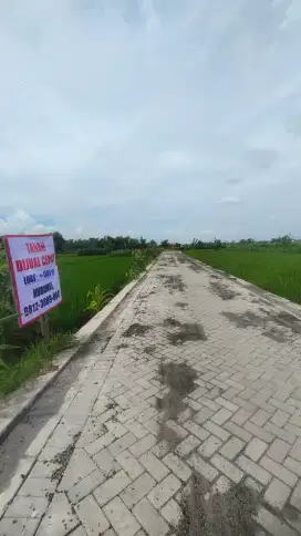 Tanah Dijual cepat Kedamean Gresik (B.U)