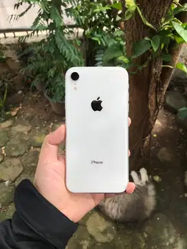 iphone xr 128gb ibox resmi