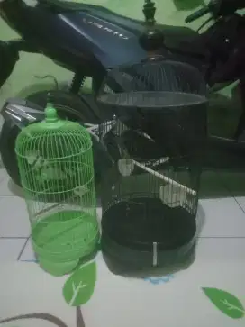 Kandang burung ukuran Lovebird dan konin