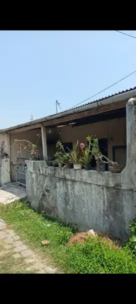 Dijual tanah murah,1,7 are bonus rumah di jalan siulan Denpasar balii