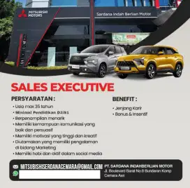 Lowongan kerja sales executive mobil