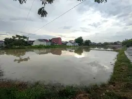 Dijual Tanah Sawah SHM di Babelan Bekasi