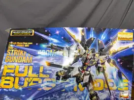 Strike Freedom Gundam MG Full Burst Mode