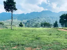 Tanah kavling villa di ketingian 1000 mdpl