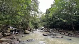 jual tanah los sungai besar cantik di tabanan bali.