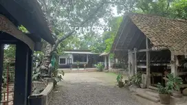 Dijual CEPAT Villa Dengan Resto Nuansa Klasik Jawa Di Serpong