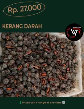 Kerang Darah | wr frozen food