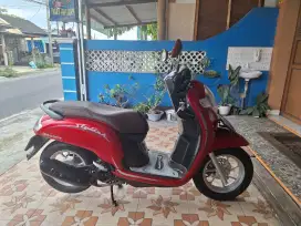 Scoopy 2019 mulus bisa kredit syariah angsuran TERMURAH