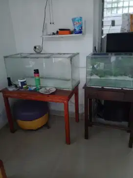 Jual 2 aquarium kaca kecil dan besar ukuran kira2 100cm dan 200cm