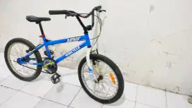 bmx wimcycle 20in