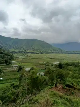 TANAH 31 ARE VIEW SANGAT INDAH SEMBALUN  PINGGIR JALAN RAYA