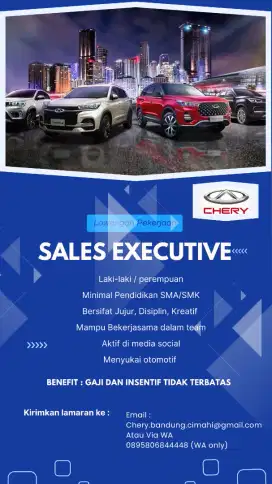 Sales executive dealer Mobil Chery