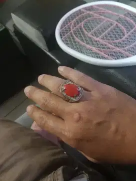 Cincin no 8/9 batu pirus merah