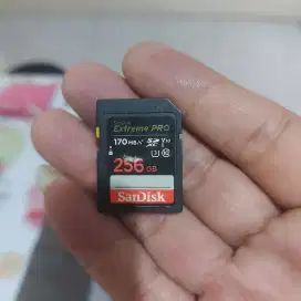 Sandisk 256gb extreme pro